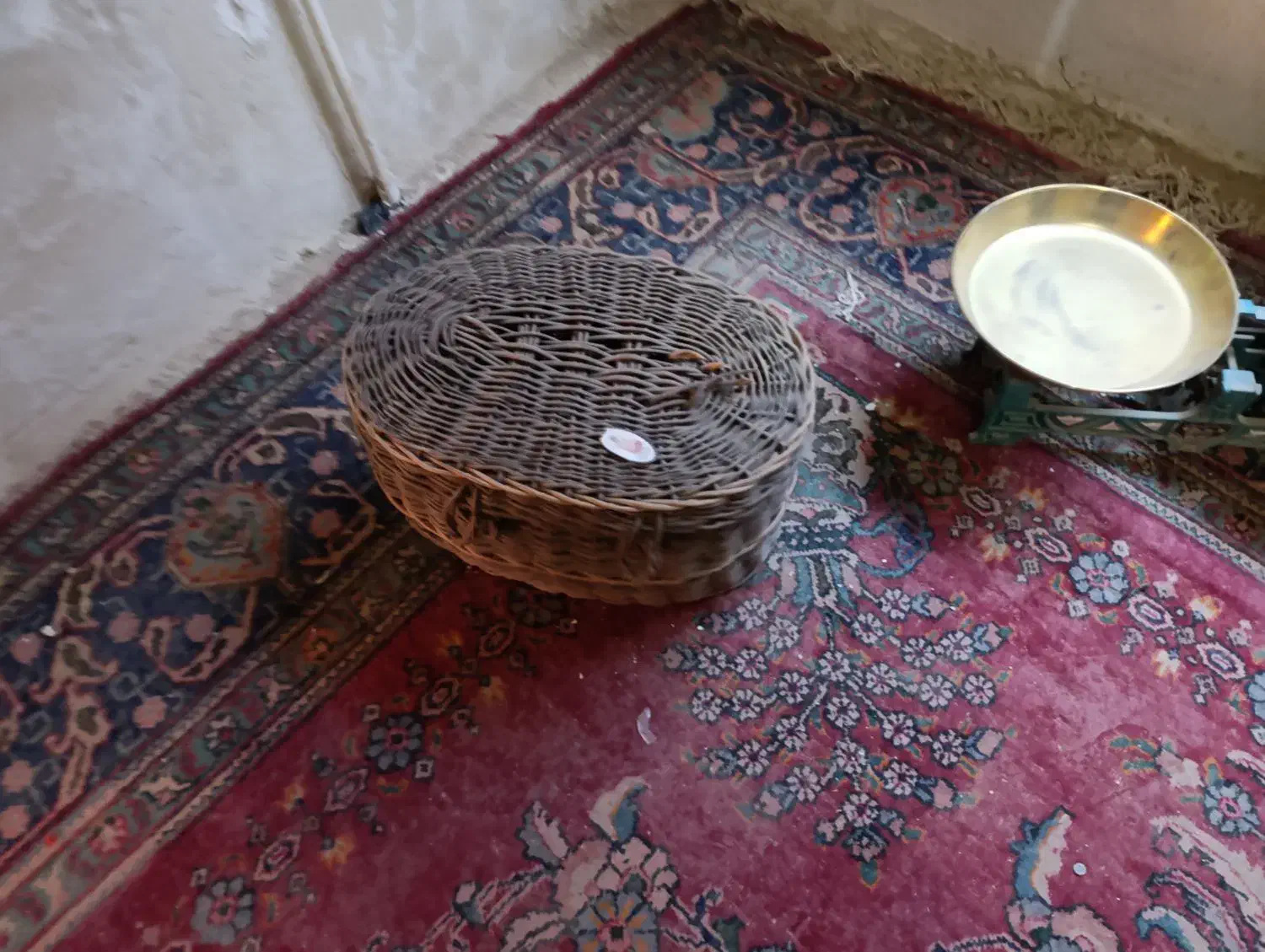 سبد قدیمی|کلکسیون اشیاء عتیقه|آران و بیدگل, |دیوار