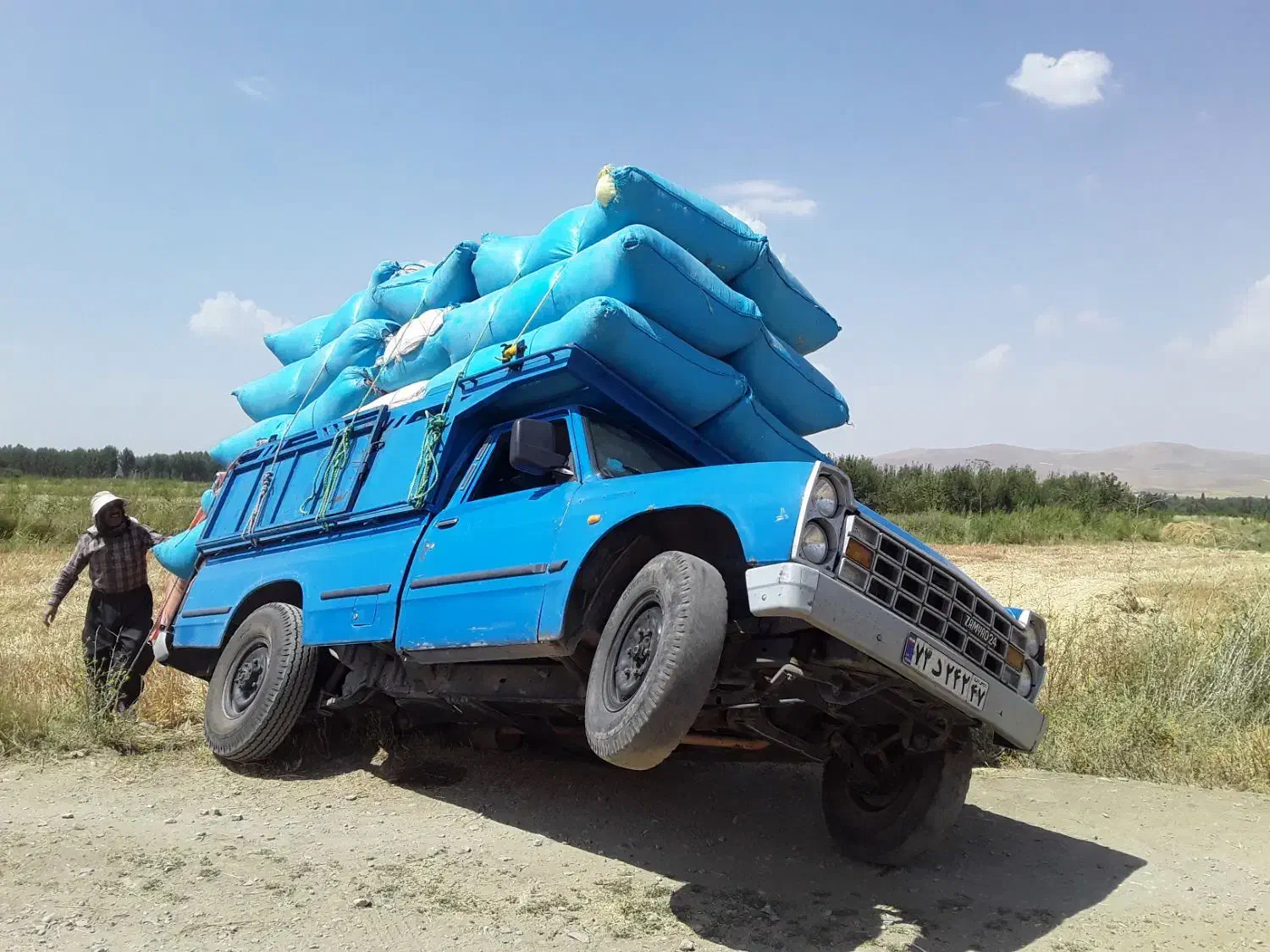 کاه گندم دیم تحویلی|خدمات باغبانی و درختکاری|بروجرد, |دیوار