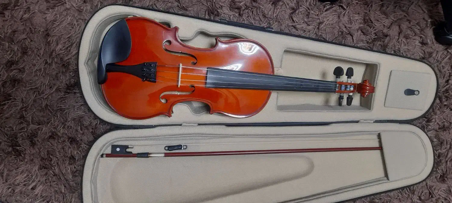 ویالون ۴/۴|ویولن|بروجرد, |دیوار