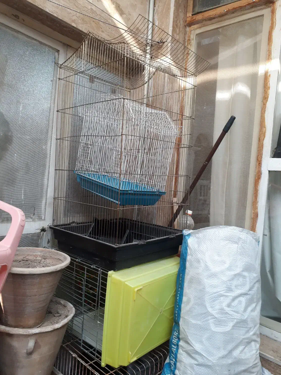 عروس هلندی قفس وتجهیزات فوری بعلت نیاز مالی|پرنده|تبریز, |دیوار