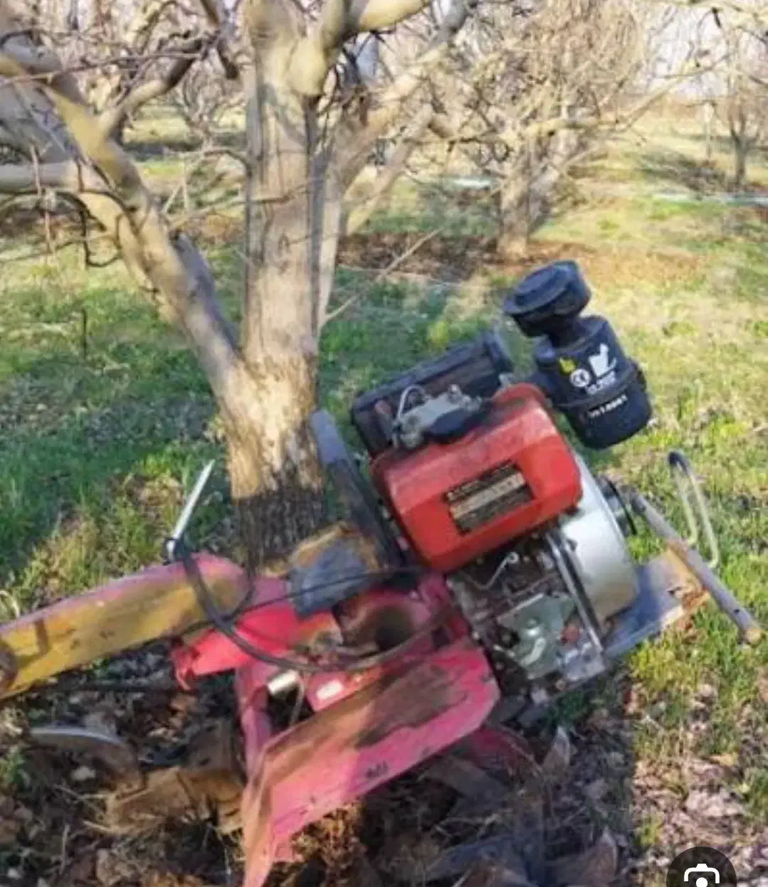 شخم زنی درختان با قیمت مناسب|خدمات باغبانی و درختکاری|میانه, |دیوار