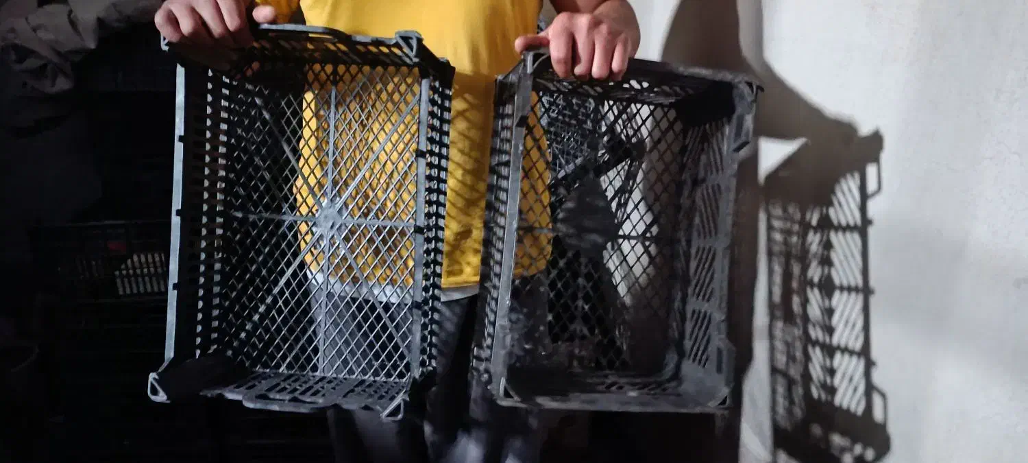 سبد اتوبوسی مخصوص قارچ|ظروف نگهدارنده، پلاستیکی، یکبارمصرف|سنندج, |دیوار