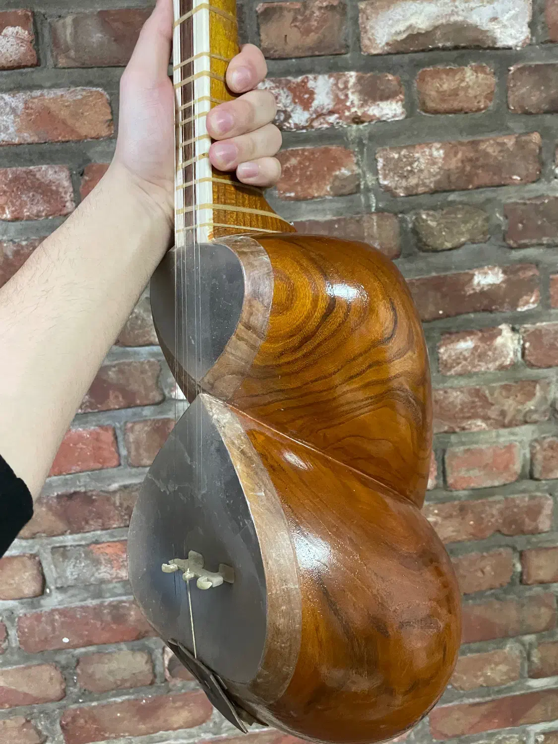 تار|سازهای سنتی|مراغه, |دیوار