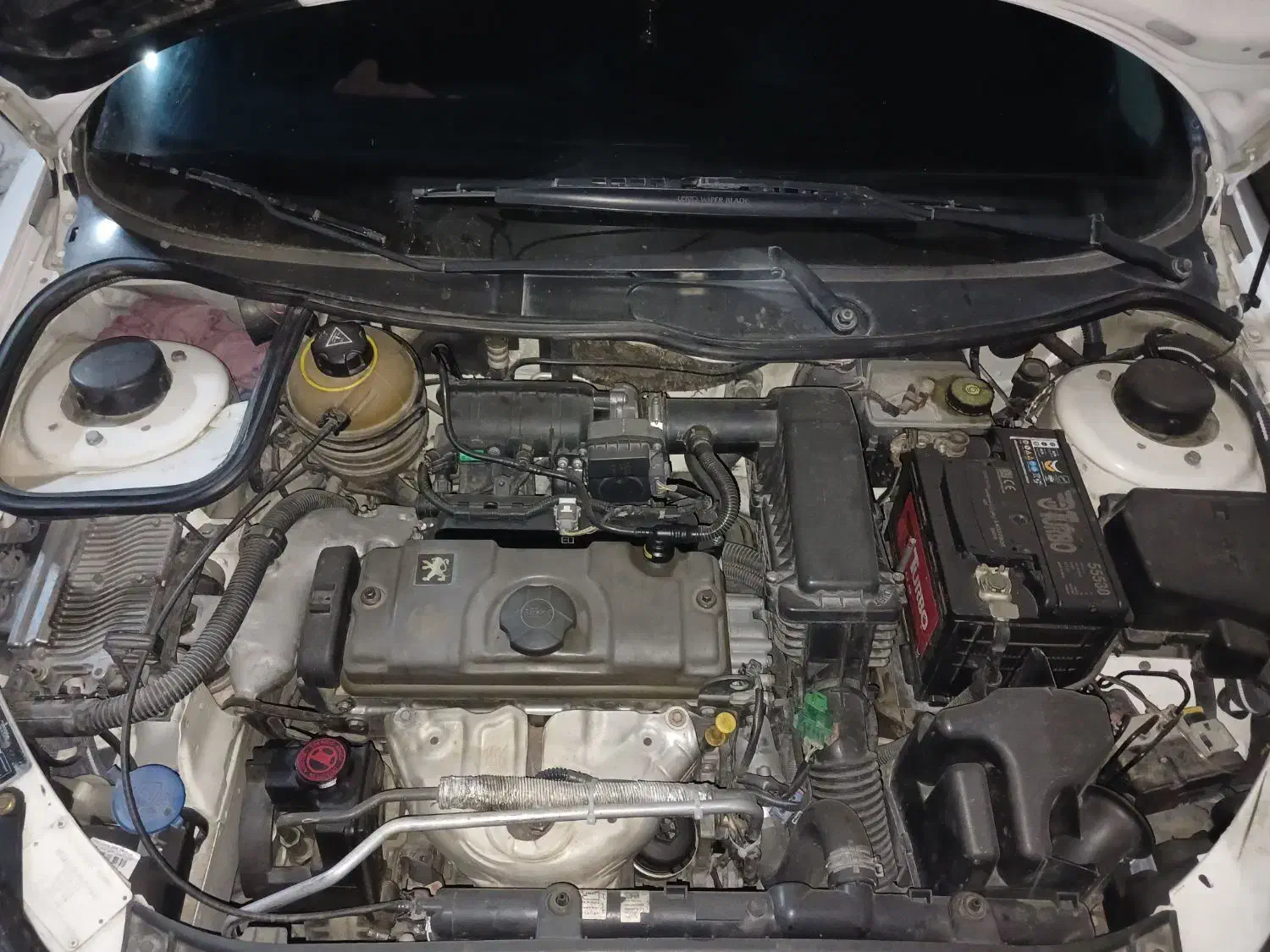 ماشین ۲۰۶ سفید|خودرو سواری و وانت|محمدشهر, ولدآباد|دیوار