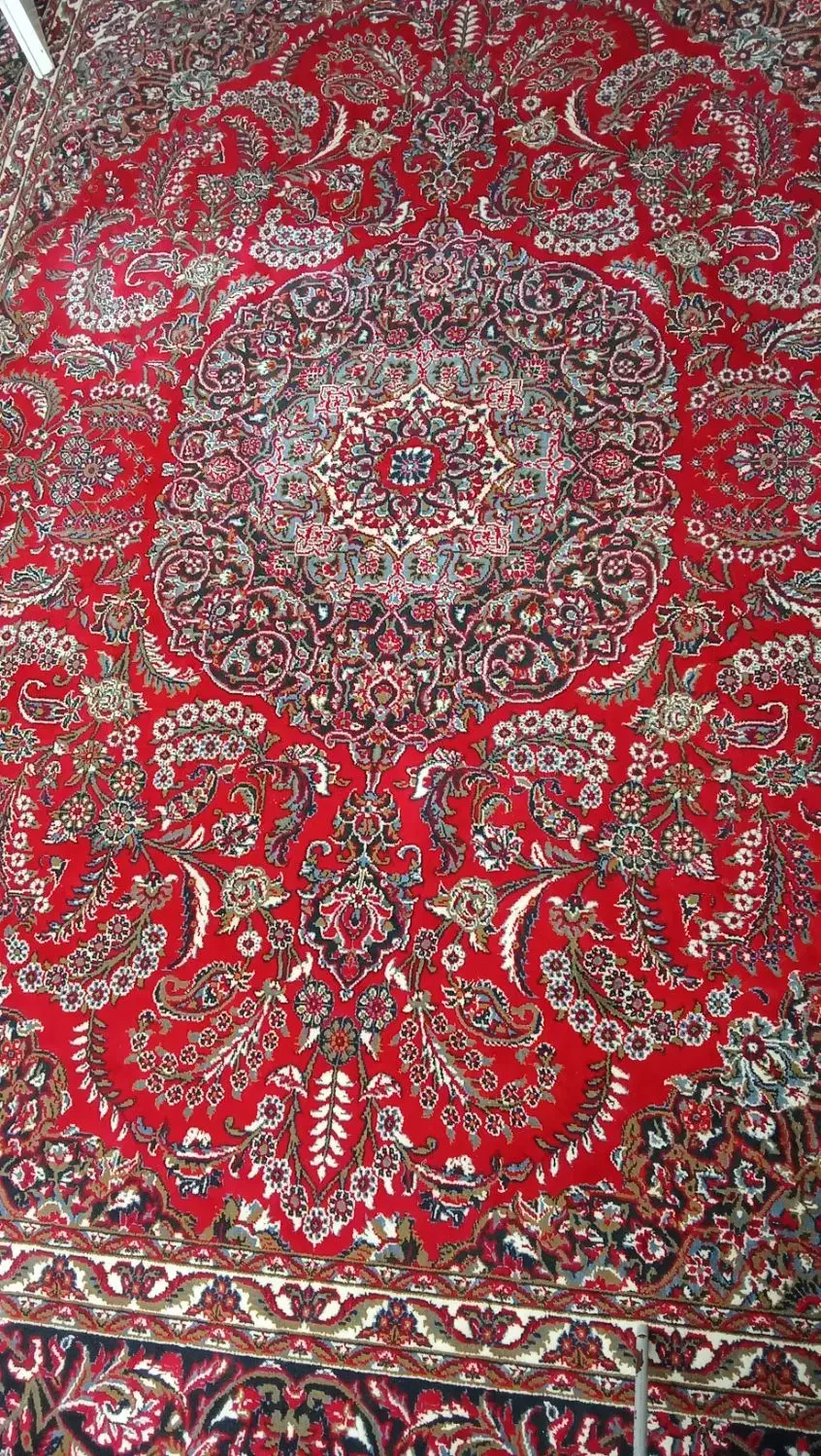 قالی قرمز کارکرده|فرش|تربت‌حیدریه, شهرک ولیعصر|دیوار