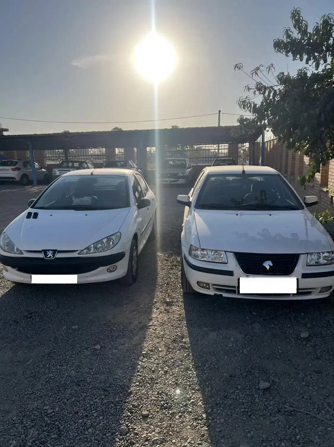 سمند ef7 دوگانه شرکتی مخزن بزرگ،پرشتاب پرقدرت|خودرو سواری و وانت|هشتگرد, شهرک اداری|دیوار