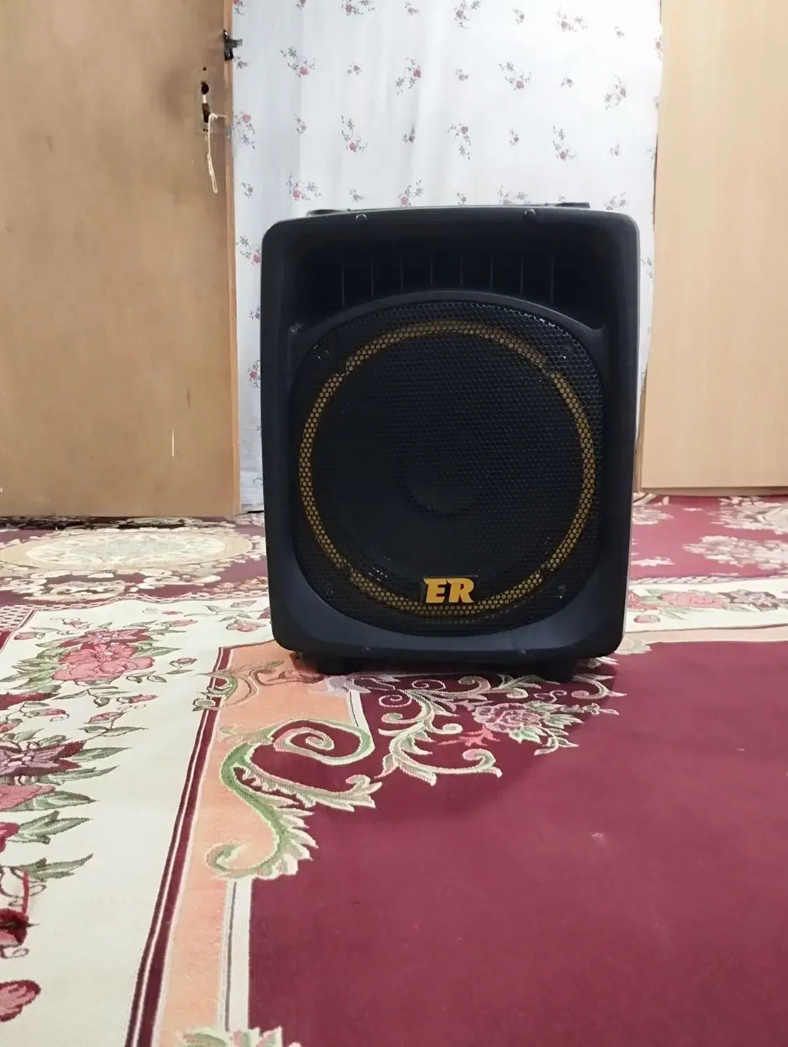 باند اکو همراه 12اینچ پرتابل شارژی با میکروفن SM58|سیستم صوتی خانگی|زنجان, |دیوار