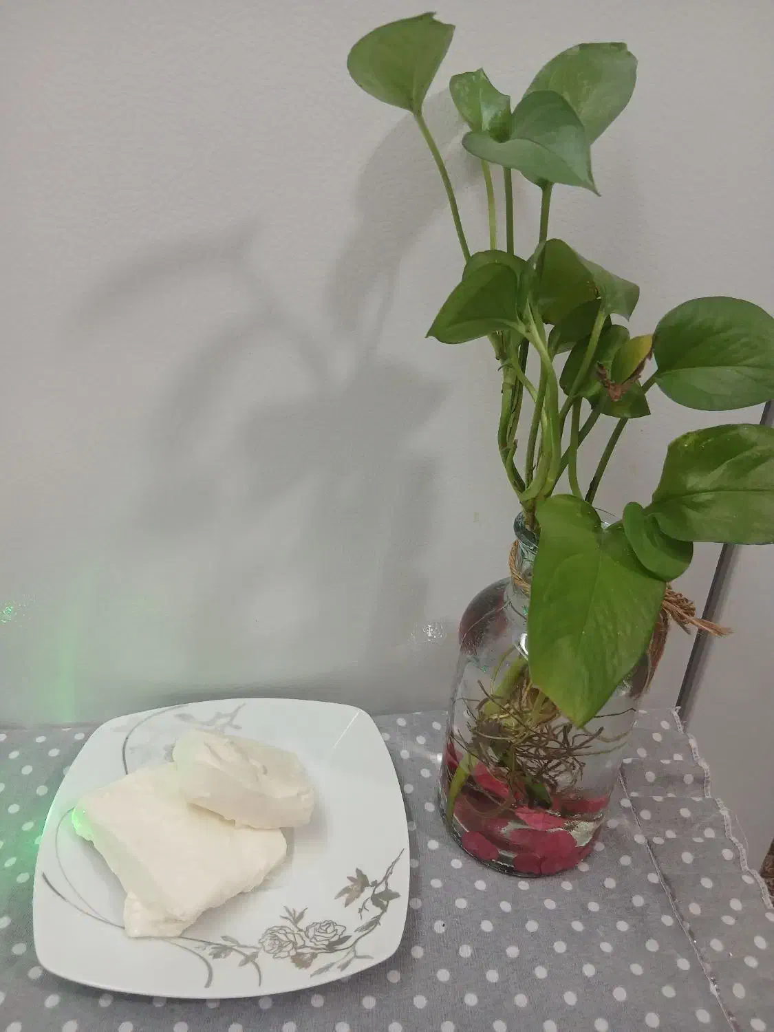 پنیرمحلی|خوردنی و آشامیدنی|قم, کلهری|دیوار