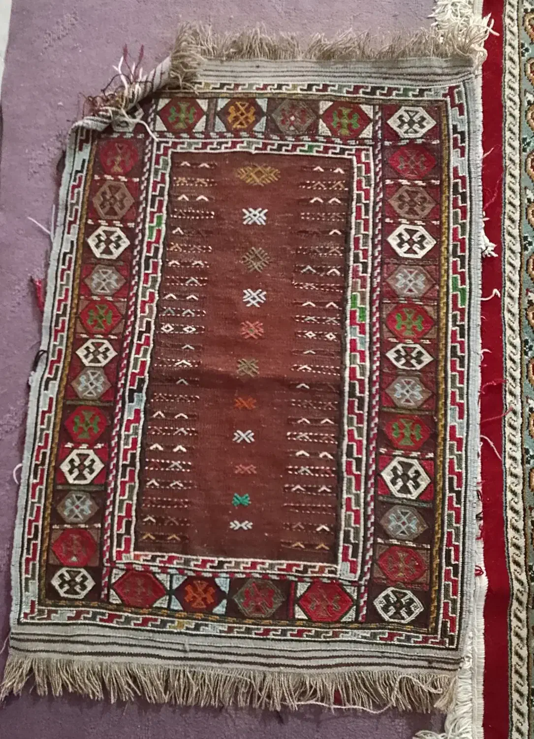 گلیم کردی|گلیم، جاجیم، گبه|شیروان (خراسان), |دیوار