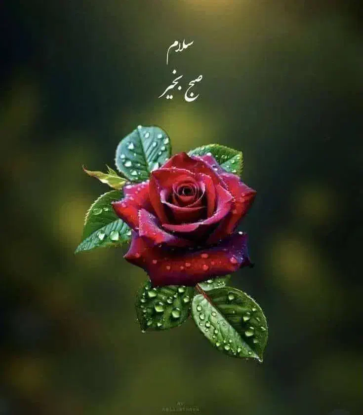 استخدام پرستار سالمند در شهربابک|استخدام درمانی، زیبایی، بهداشتی|شهر بابک, |دیوار