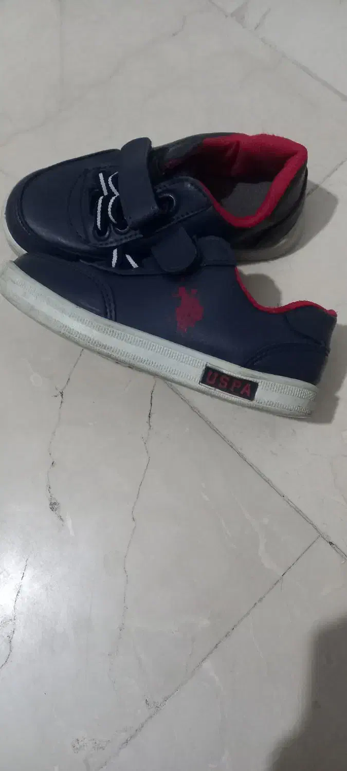 کفش کتونی برند پلو سایز ۲۴|کفش و لباس بچه|تهران, سازمان برنامه جنوبی|دیوار