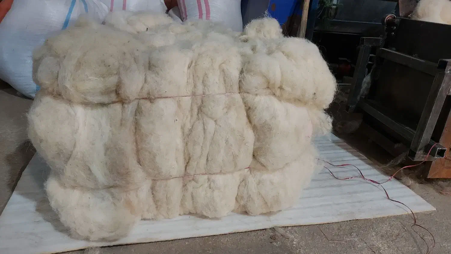 پشم گوسفند خالص و شسته شده و پشم شتر|رختخواب، بالش، پتو|کهریزک, |دیوار