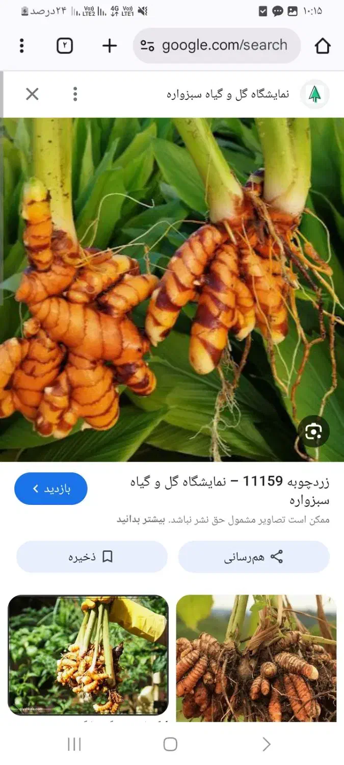 پخش انواع ادویه جات|خوردنی و آشامیدنی|پیر بکران, |دیوار