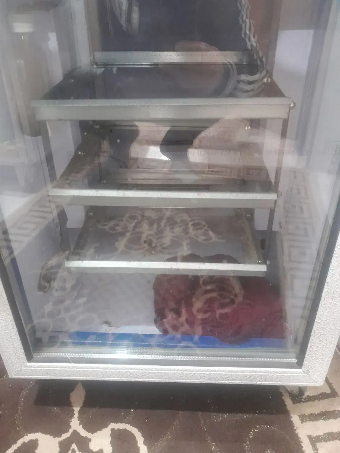 دستگاه جوجه کشی دماوند در حد نو|ماشینآلات صنعتی|آستانه اشرفیه, |دیوار