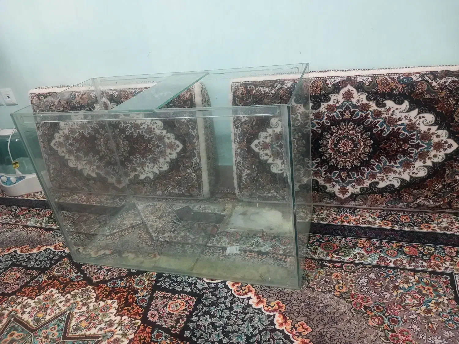 آکواریم شیشه زخیم یک متری|ماهی|قروه, |دیوار