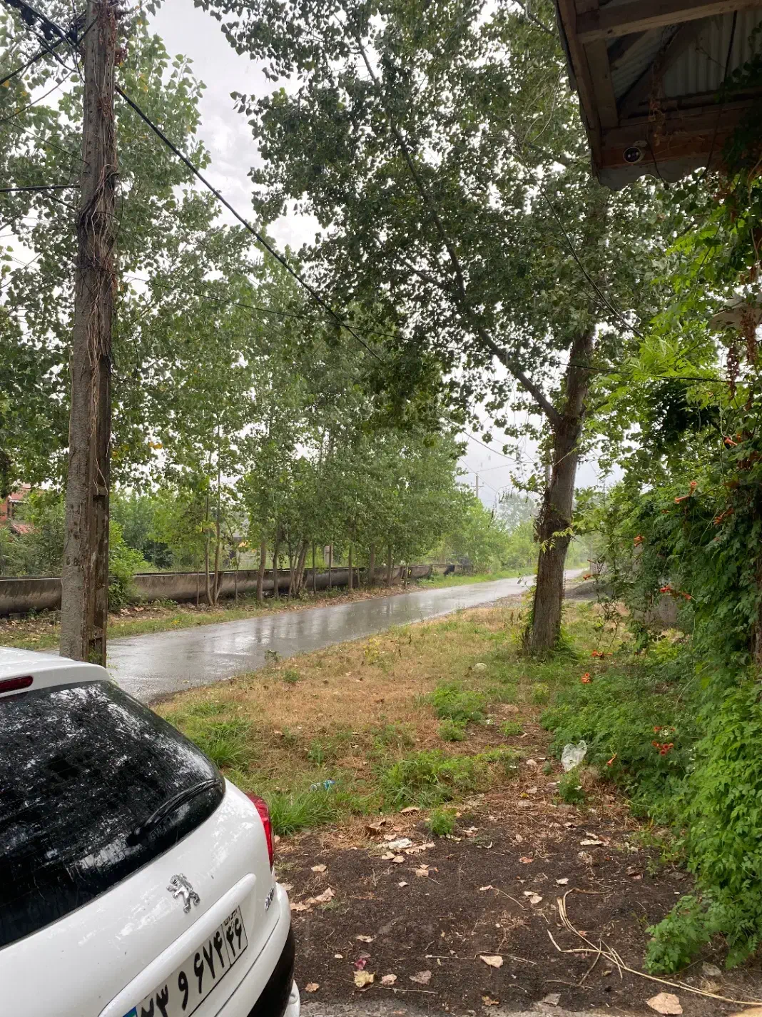 اجاره سالانه خانه ویلایی مبله ۸۰۰متر|اجارهٔ خانه و ویلا|تولم شهر, |دیوار