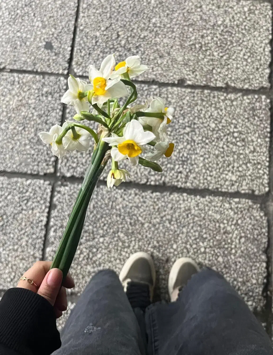 وام فوری بدون ضامن|کارت هدیه و تخفیف|خور (فارس), |دیوار