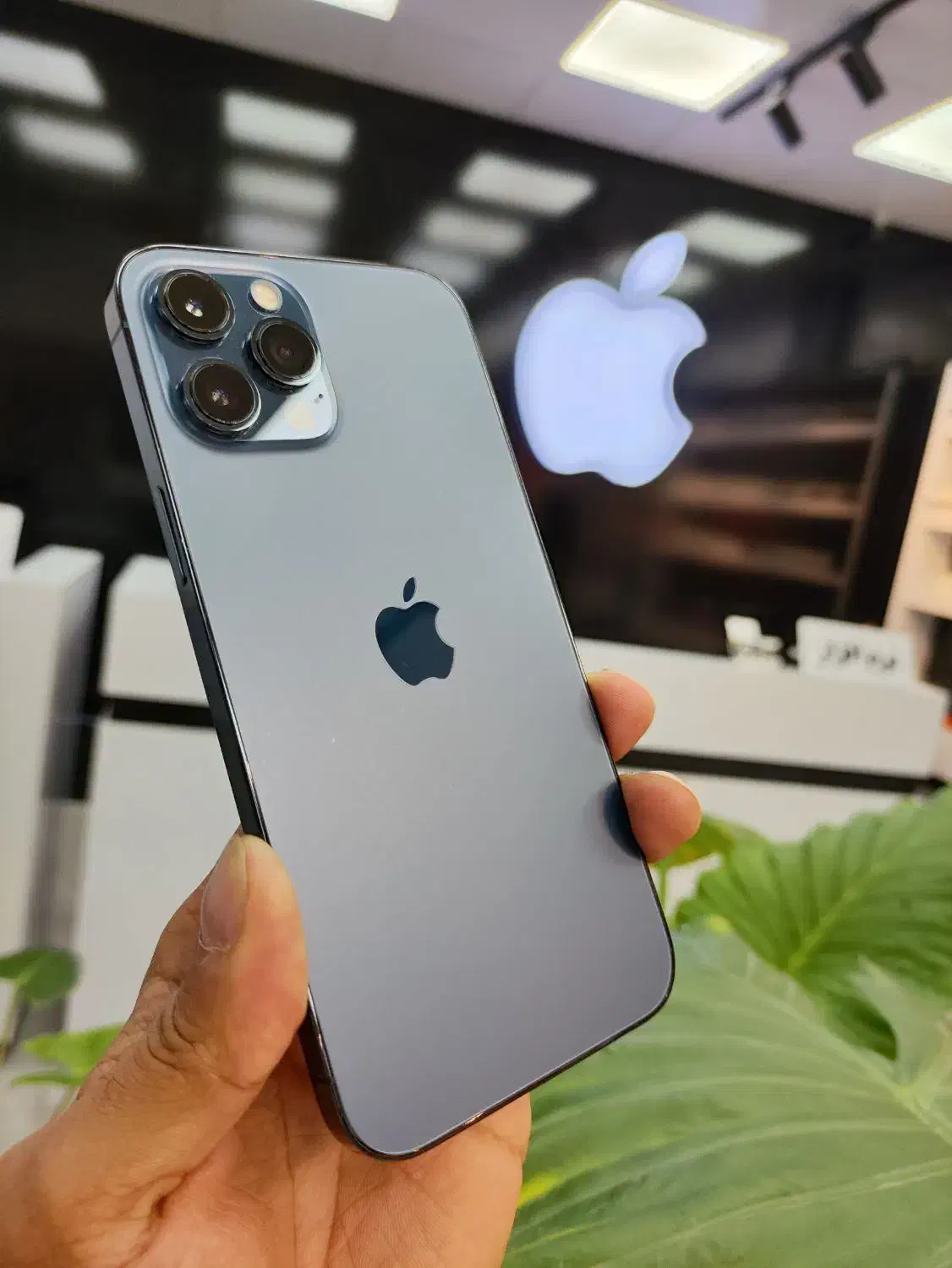 گوشی آیفون 12pro max 512g با ضمانت چک و طلا|موبایل|مشهد, طلاب|دیوار