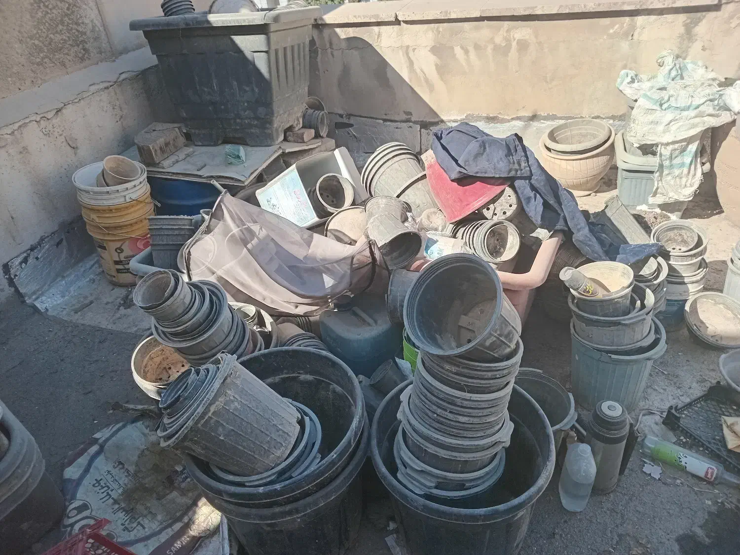 پلاستیکی کارکرده گلدان جهت برای نهال درخت گل وگیاه|گل و گیاه طبیعی|تهران, سید خندان (جلفا)|دیوار