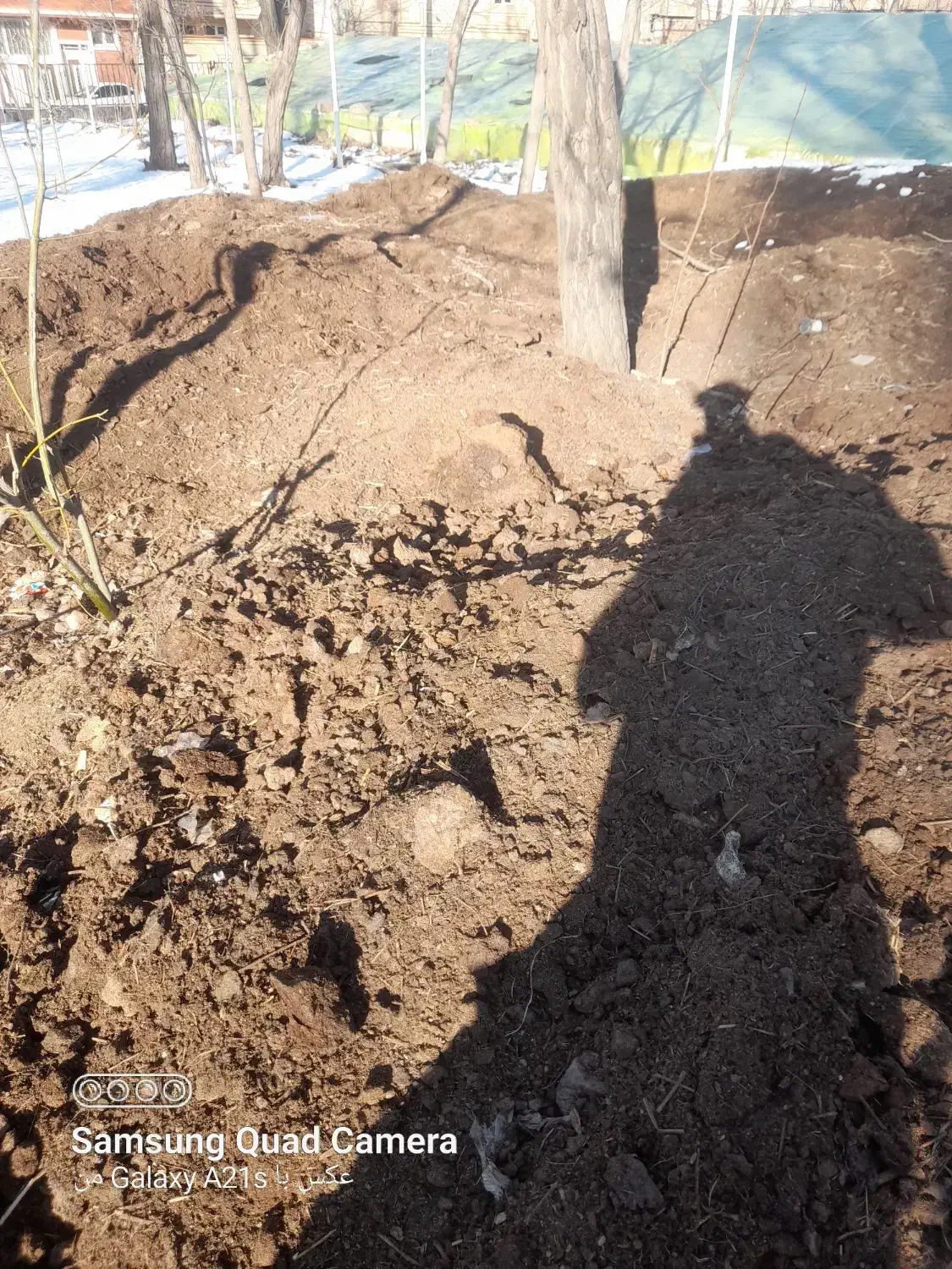 کود حیوانی|خدمات باغبانی و درختکاری|مشگین شهر, |دیوار