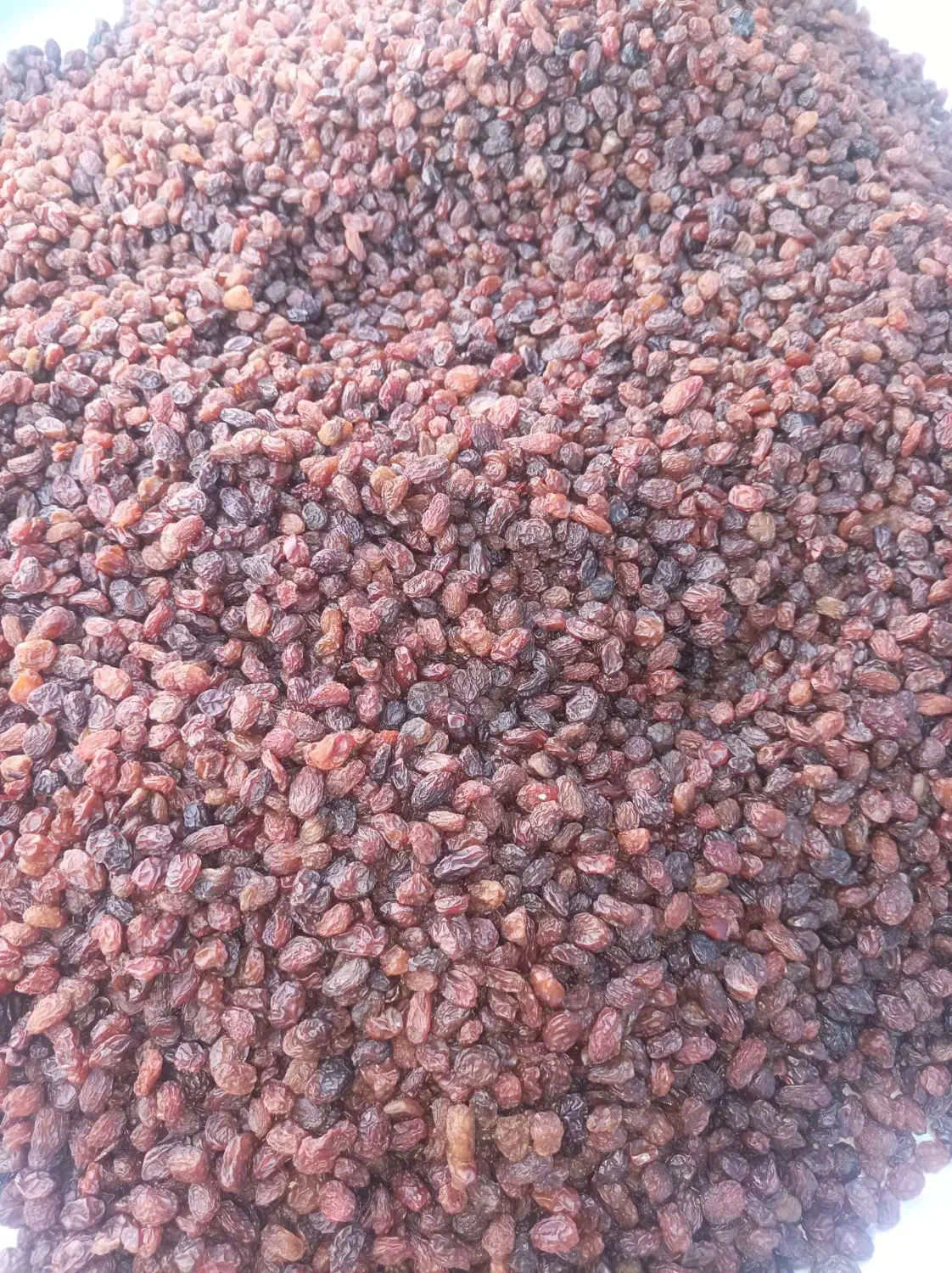 کشمش آفتابی تمیز شده درجه یک|خوردنی و آشامیدنی|خرمدره, |دیوار