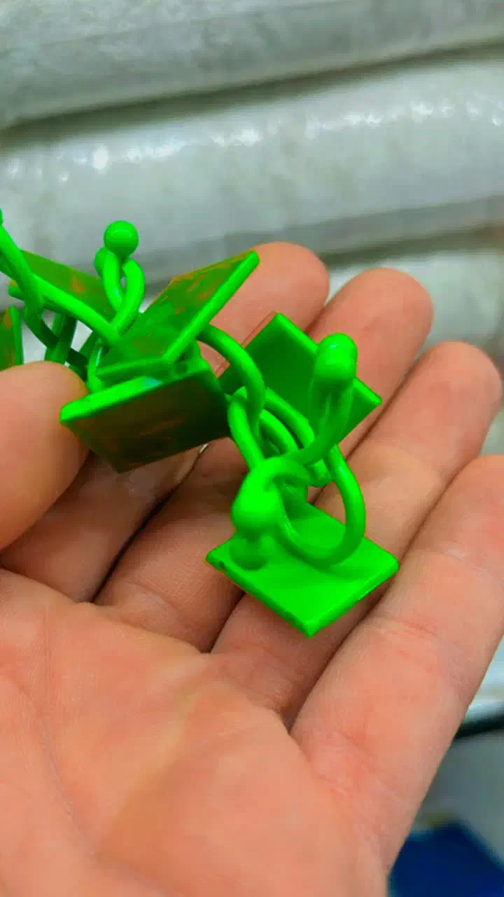 گیره پتوس|گل و گیاه طبیعی|قم, محمد آباد|دیوار