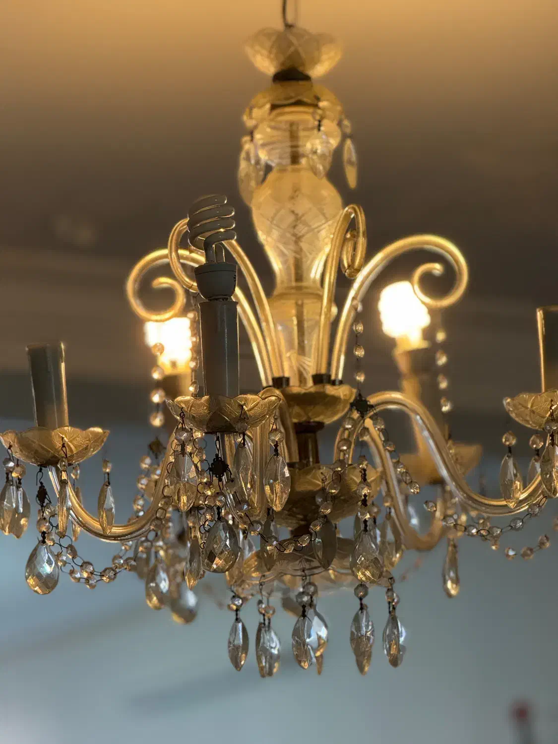 لوستر کریستالی|لوستر و چراغ آویز|گنبد کاووس, |دیوار