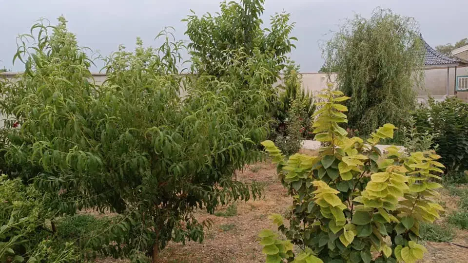 اجاره باغ ویلا،استخر آبگرم در خانه زنیان|اجارهٔ کوتاهمدت ویلا و باغ|شیراز, شهرک والفجر|دیوار