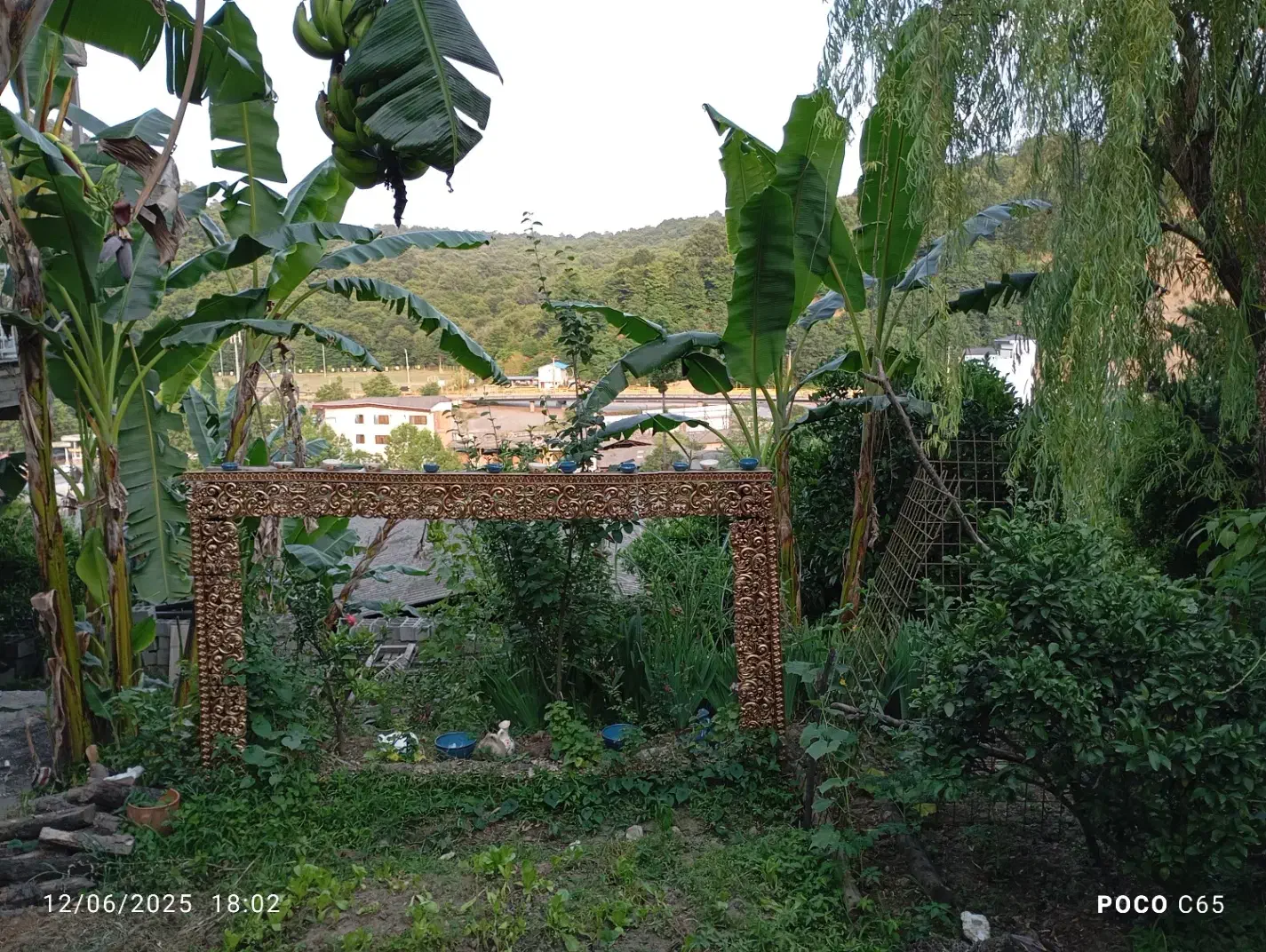 اجاره ویلا دو خوابه و تک خوابه جنگلی ویو دار|اجارهٔ کوتاه‌مدت ویلا و باغ|چالوس, |دیوار