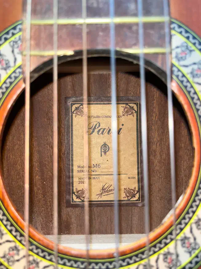 گیتار پارسی m6|گیتار، بیس، امپلیفایر|مشهد, تربیت (صدف)|دیوار