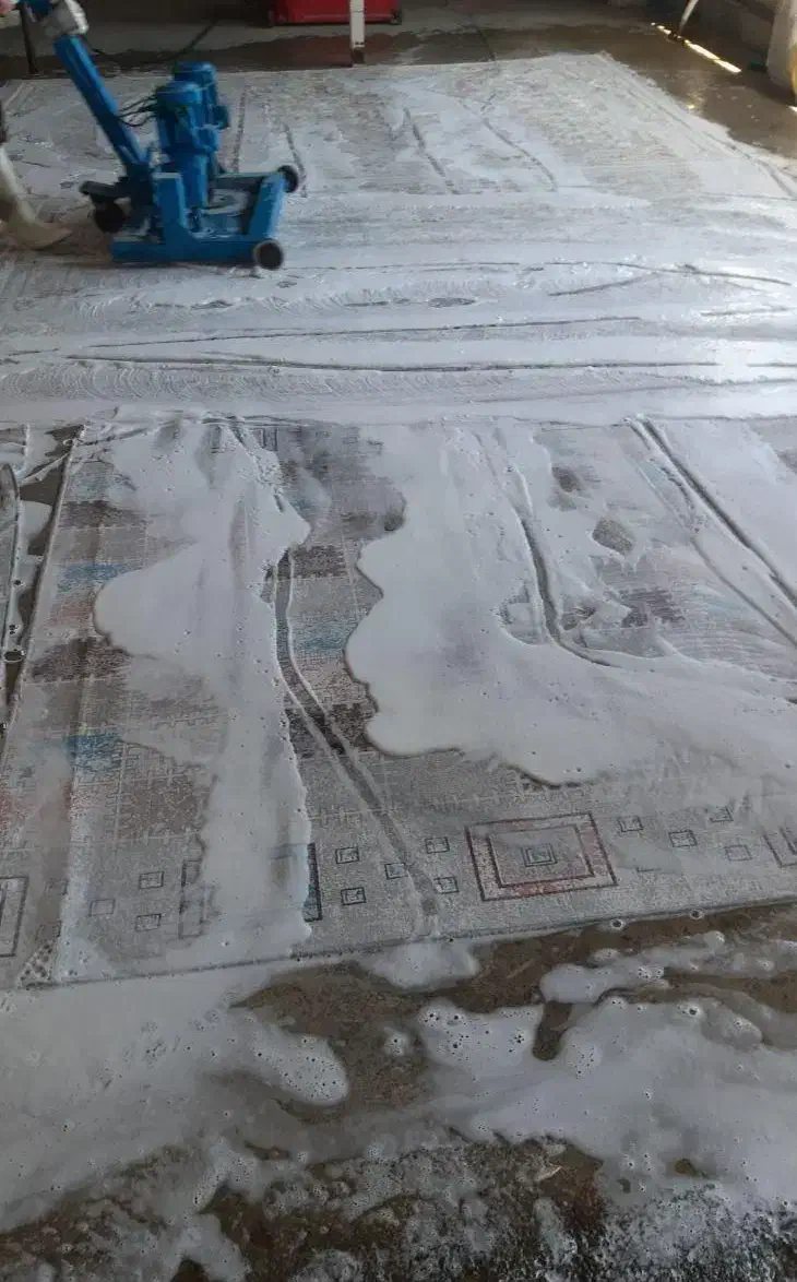 قالیشویی سلیمان|خدمات نظافت|همدان, |دیوار