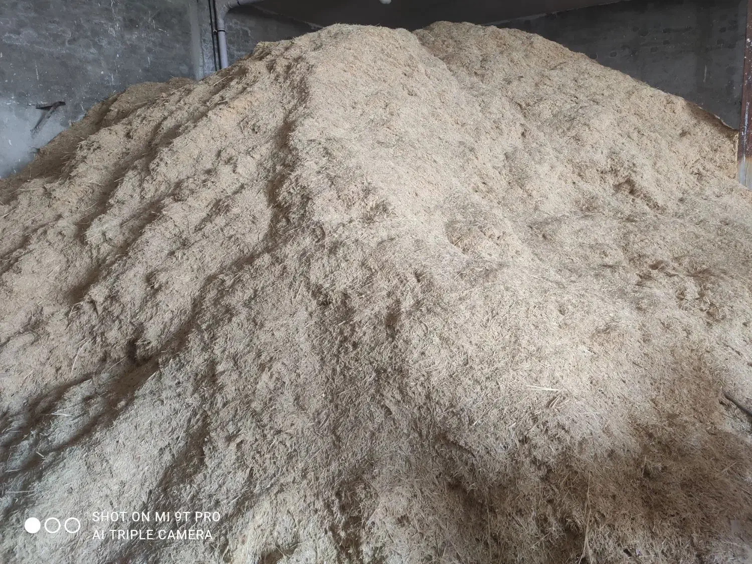 کاه گندم دیم کیلوی 12هزار.|حیوانات مزرعه|خزل, |دیوار