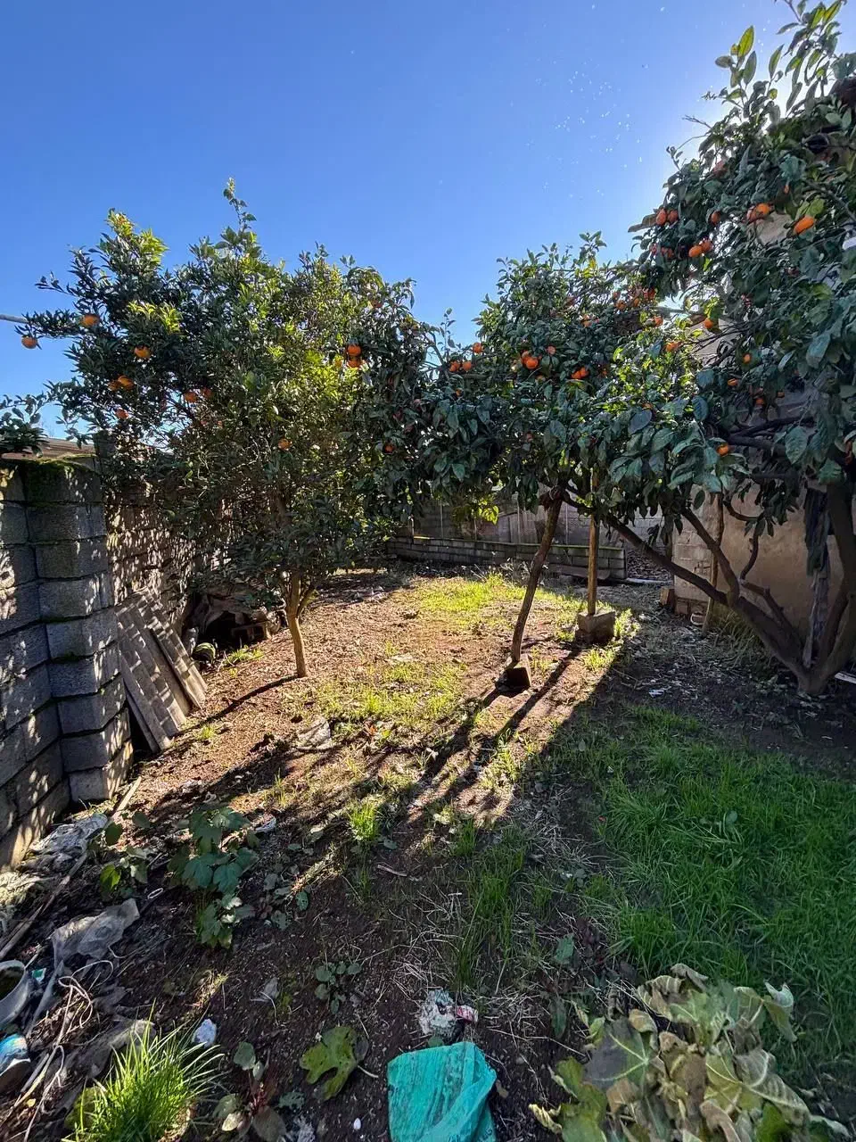 خونه روستایی 415مترباسندتکبرگ  فروش فورری|فروش خانه و ویلا|آستانه سرا, |دیوار