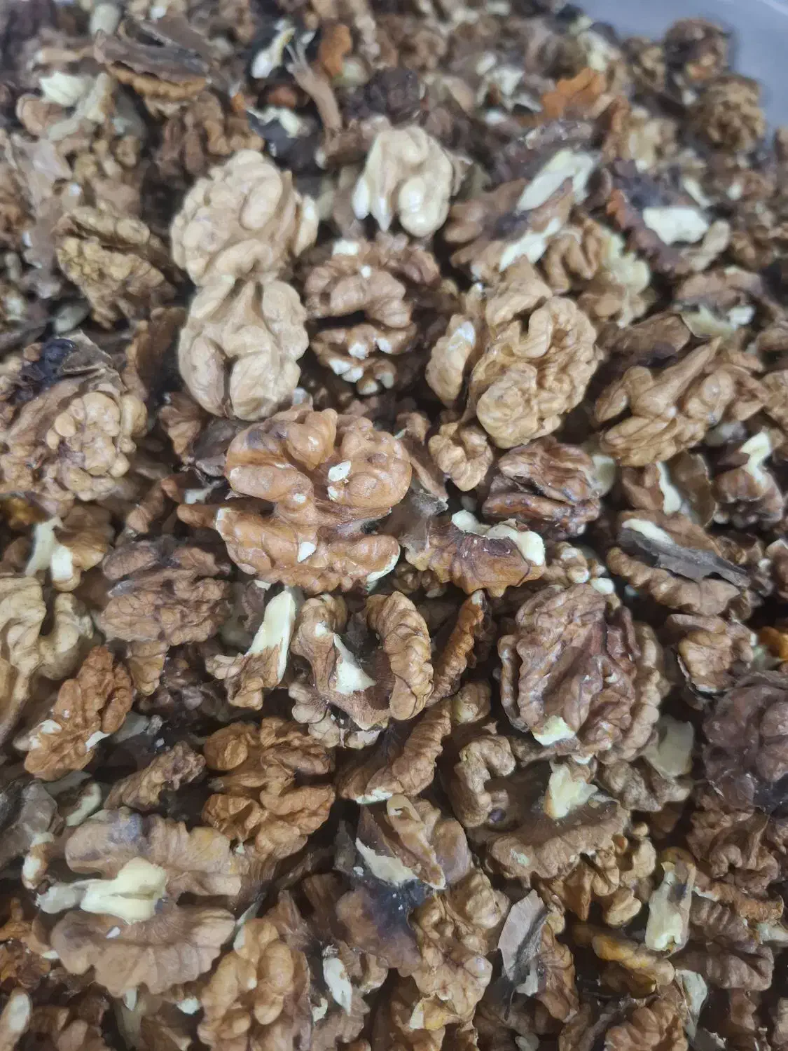 مغز گردو فسنجون|حراج|کرج, خلج آباد|دیوار