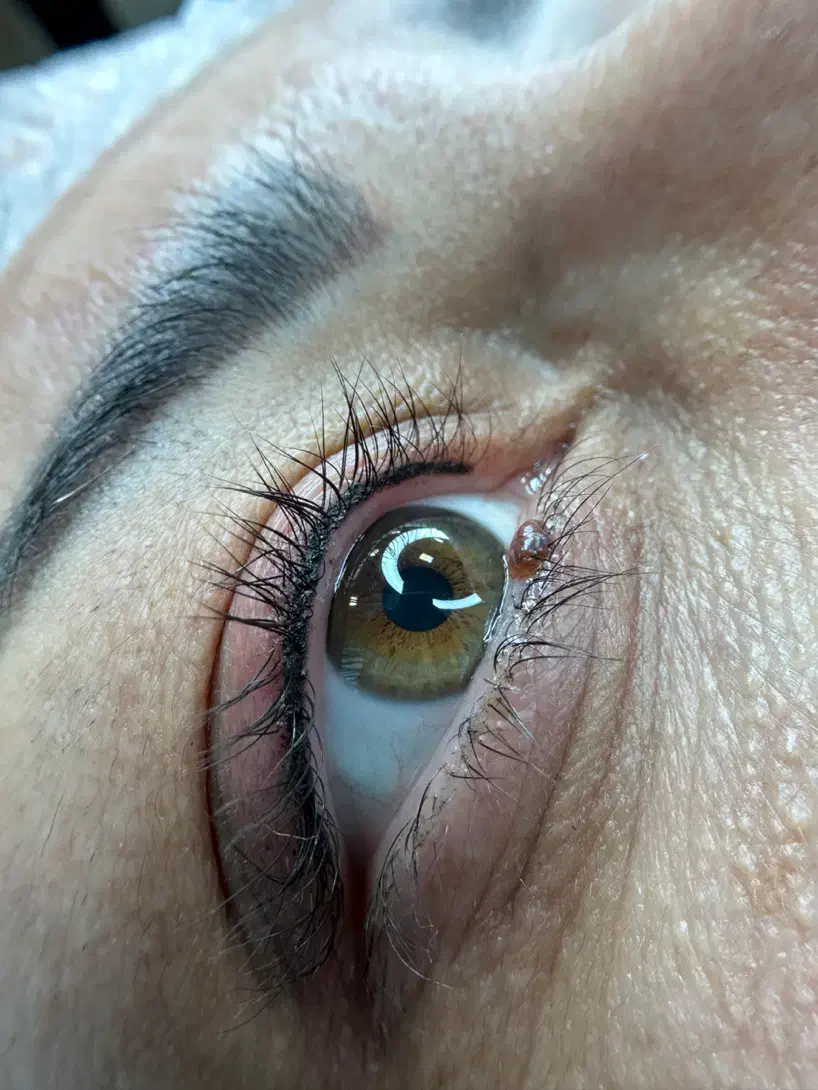 مدل رایگان خط چشم|خدمات آرایشگری و زیبایی|قروه, |دیوار