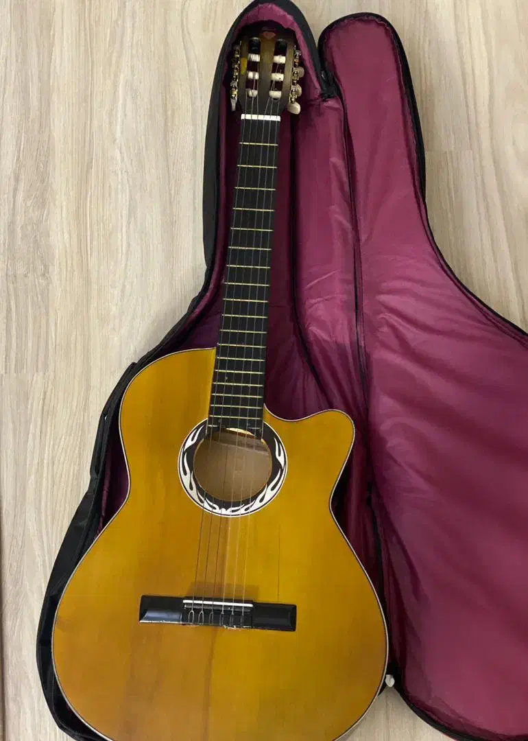 گیتار با کیف|گیتار، بیس، امپلیفایر|اردبیل, |دیوار