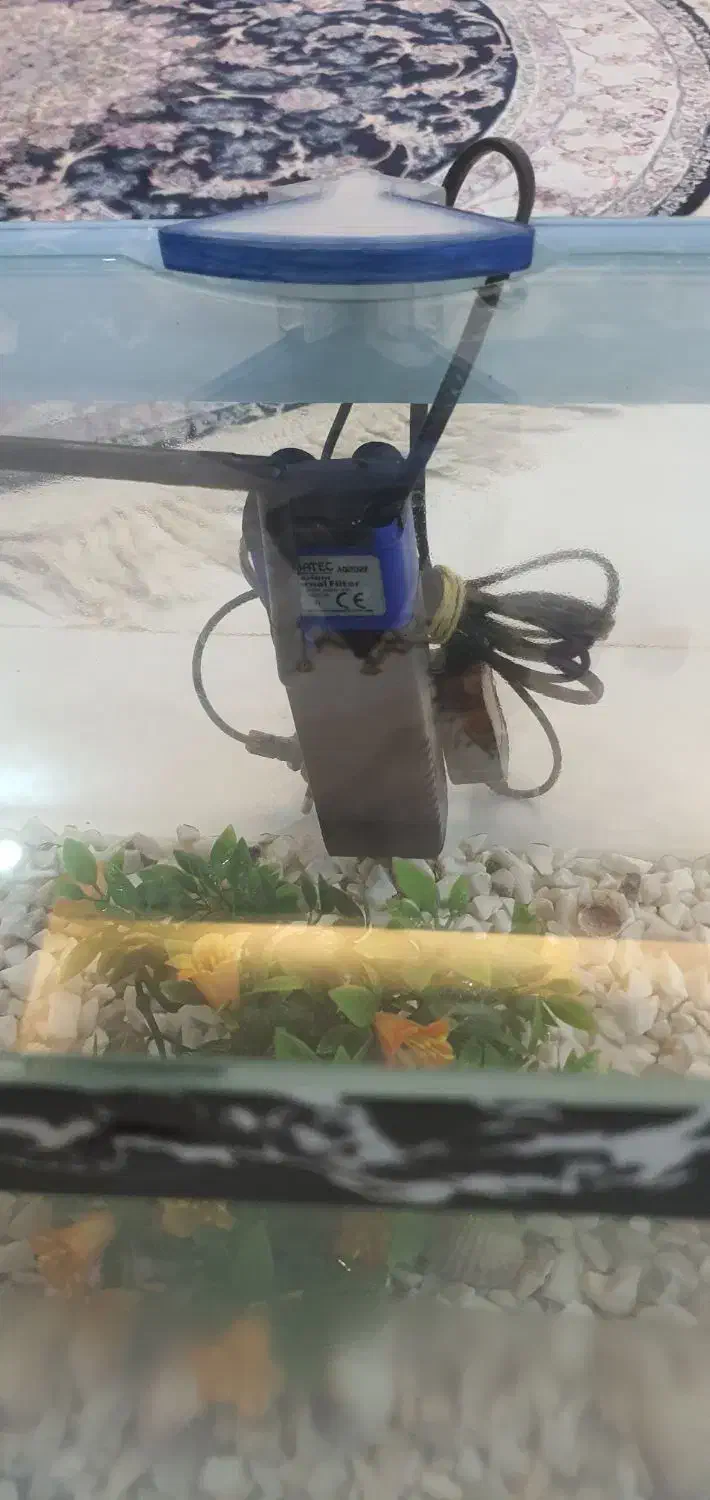 اکواریوم ۲۳×۳۵|ماهی|قم, زنبیل آباد|دیوار