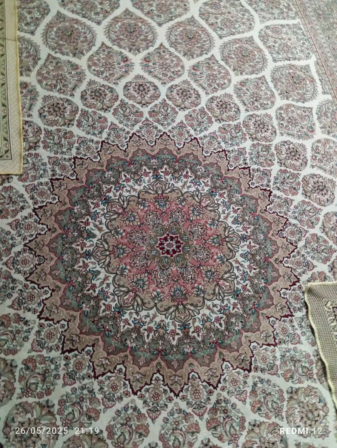 فرش 12متری گردویی|فرش|مشهد, حضرت حجت|دیوار