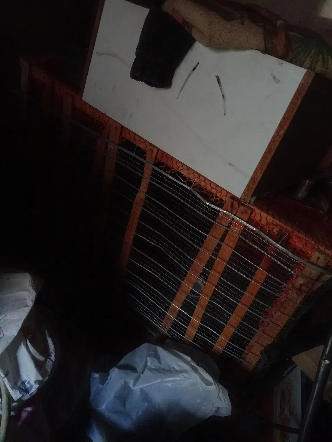 قفس پرنده ویک قفس بزرگ سالم|لوازم جانبی حیوانات|تربت جام, معدآباد|دیوار