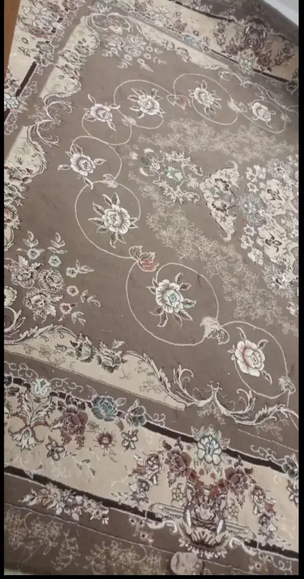 فرش قالی سلیمان یک جفت و دو جفت پشتی|فرش|کبودرآهنگ, |دیوار