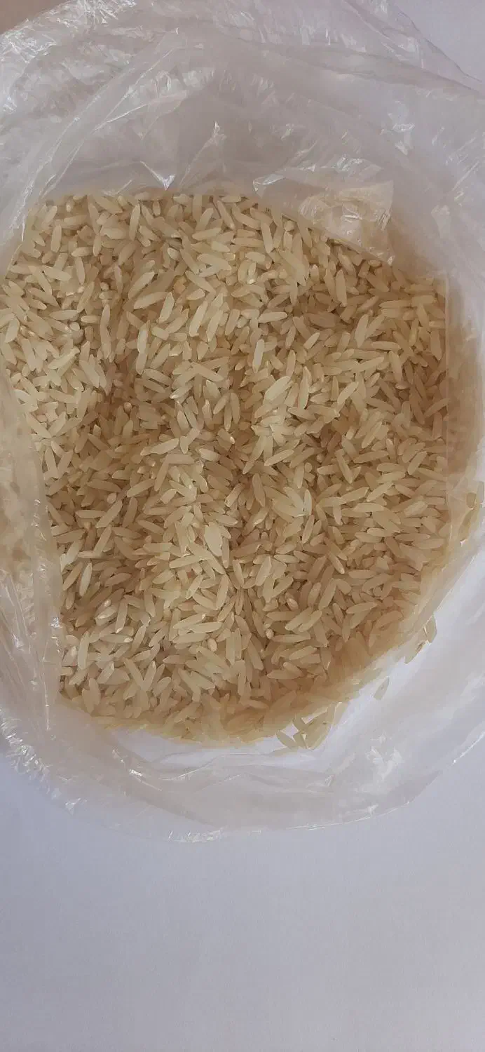 برنج هاشمی درجه یک معطر سالم کوجنق|خوردنی و آشامیدنی|مشگین شهر, |دیوار