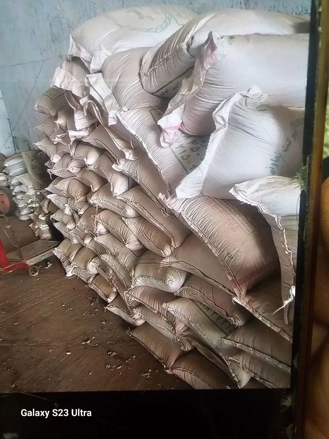 گندم آبی|عمدهفروشی|بیجار, |دیوار