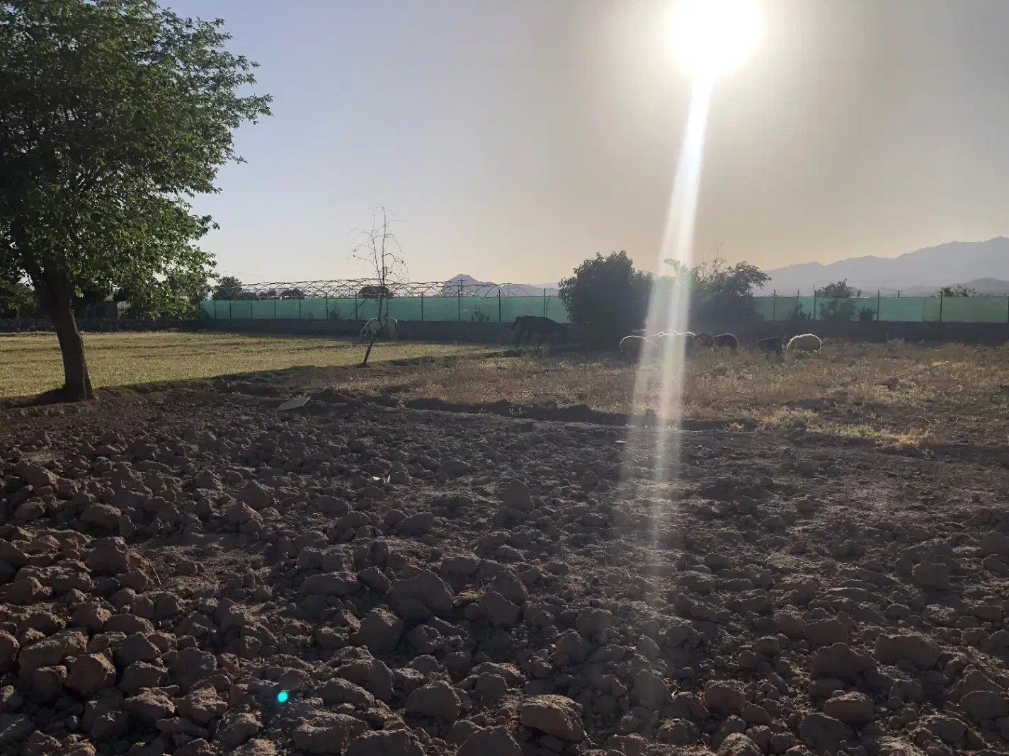 زمین تجاری مسکونی بر خیابان باقرآباد|فروش زمین و ملک کلنگی|محلات, |دیوار