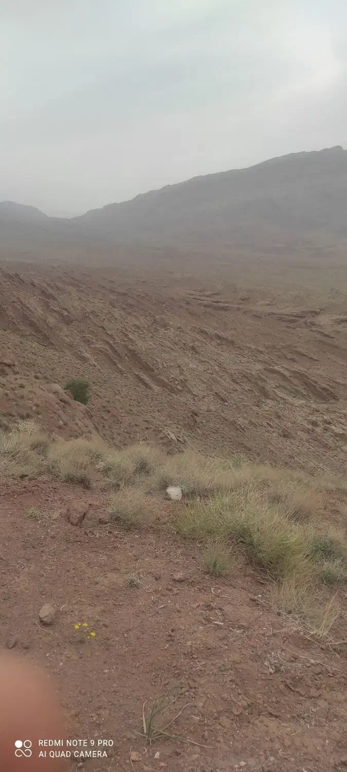 زمین علی آباد سفلی|فروش زمین و ملک کلنگی|یزدان شهر, |دیوار