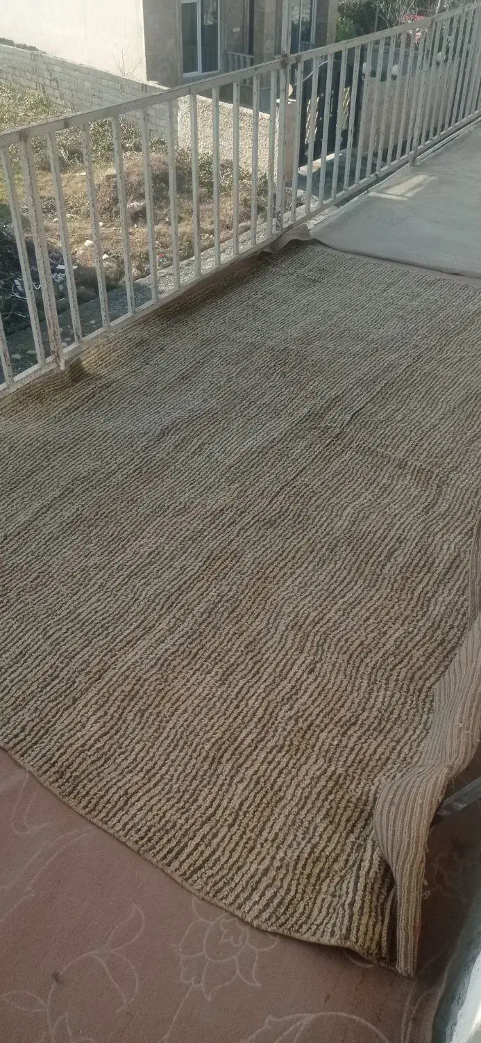 گلیم فرش شیش متر|گلیم، جاجیم، گبه|نوشهر, |دیوار