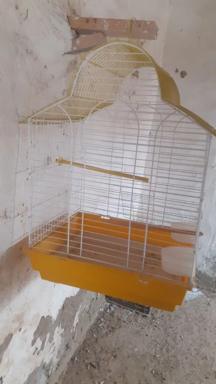 مجسمه|مجسمه، تندیس، ماکت|زابل, |دیوار