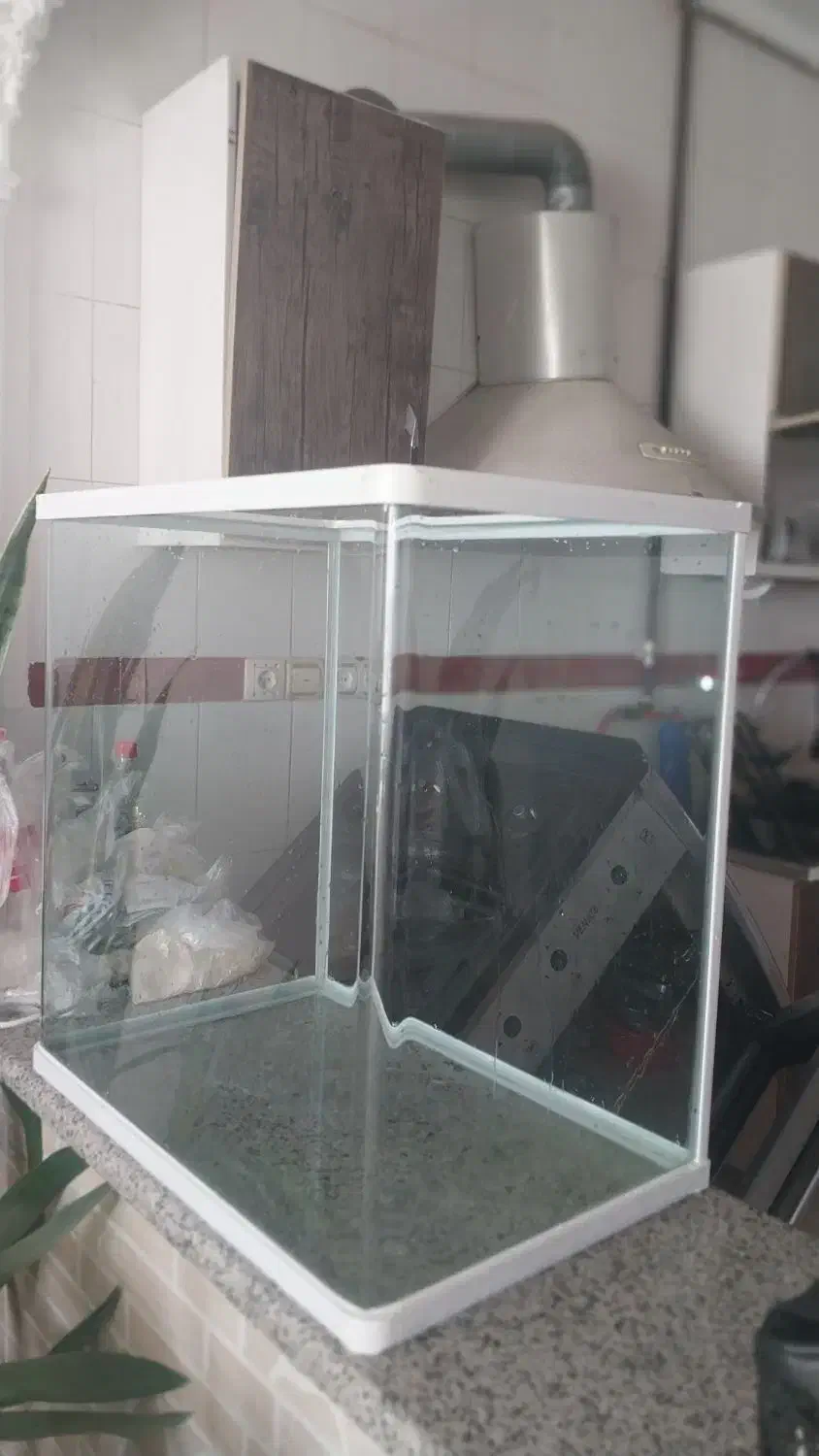 فروش آکواریوم|ماهی|شیراز, ریاستی|دیوار