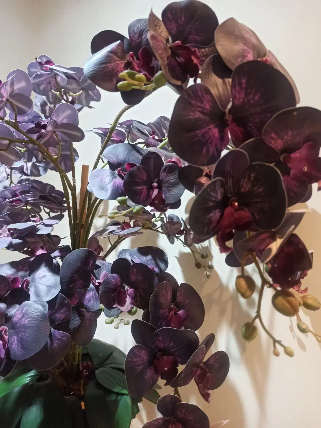 گل ارکیده مصنوعی|گل مصنوعی|کرج, دهقان ویلا|دیوار