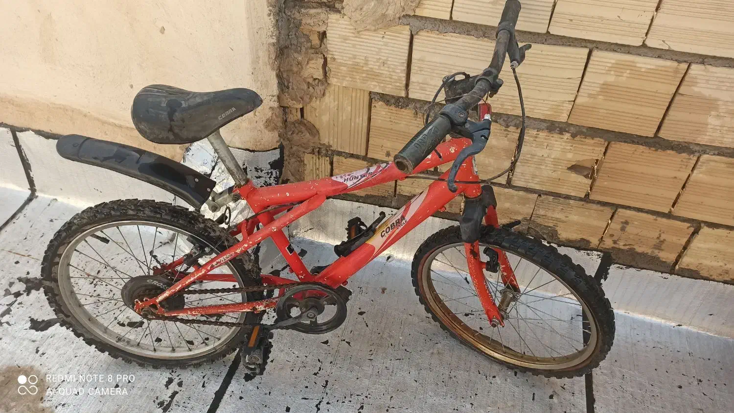 دوچرخه 20|دوچرخه، اسکیت، اسکوتر|کرج, شهرک سهرابیه|دیوار