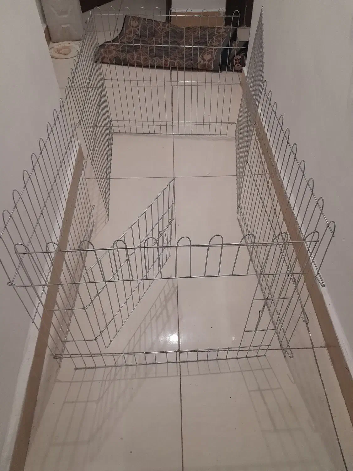 پارک سگ|لوازم جانبی حیوانات|رشت, رودباری|دیوار